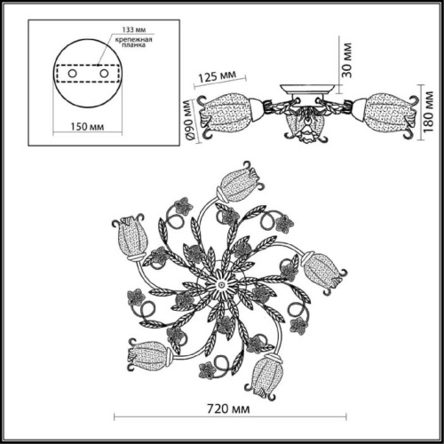 Потолочная люстра Odeon Light Ameli 2252/5C Потолочная люстра Odeon Light Ameli 2252/5C