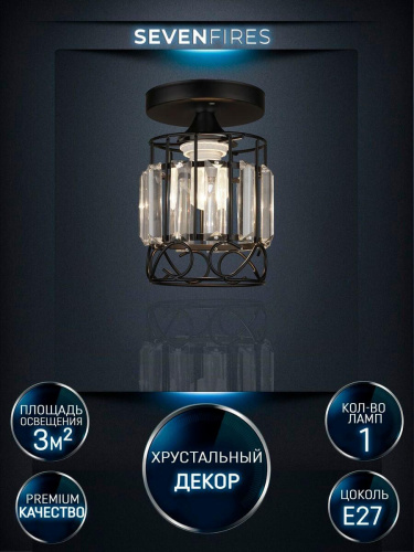 Потолочный светильник Seven Fires Beteni WD3567/1C-BK-CL Потолочный светильник Seven Fires Beteni WD3567/1C-BK-CL