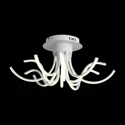 Потолочный светодиодный светильник ST Luce Finde SL826.502.12 Потолочный светодиодный светильник ST Luce Finde SL826.502.12
