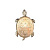 Настенный светодиодный светильник Favourite Turtle 2256-1W