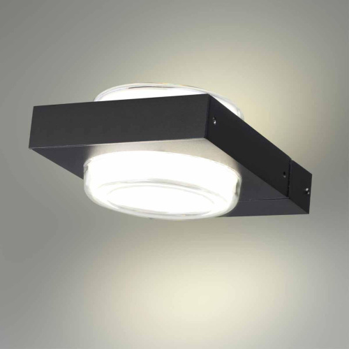 Уличный настенный светодиодный светильник Odeon Light Nature Vart 6654/6WL Уличный настенный светодиодный светильник Odeon Light Nature Vart 6654/6WL