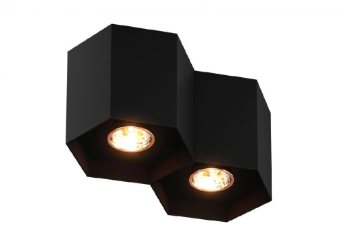 Потолочный светильник Zumaline Polygon cl2 20036-BK Потолочный светильник Zumaline Polygon cl2 20036-BK