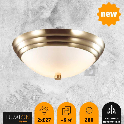 Настенно-потолочный светильник Lumion Vintage Kayla 5262/2C Настенно-потолочный светильник Lumion Vintage Kayla 5262/2C