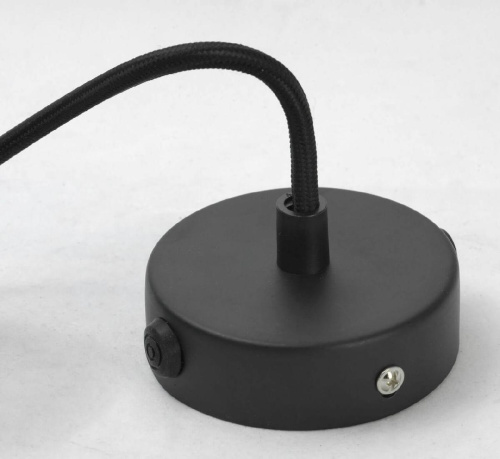 Подвесной светильник Lussole Loft LSP-9888 Подвесной светильник Lussole Loft LSP-9888