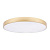 Потолочный светодиодный светильник Loft IT Flims 10228/B