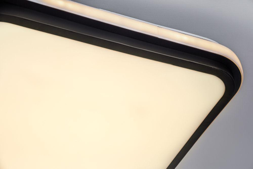 Потолочный светодиодный светильник Escada 10210/2LED Потолочный светодиодный светильник Escada 10210/2LED