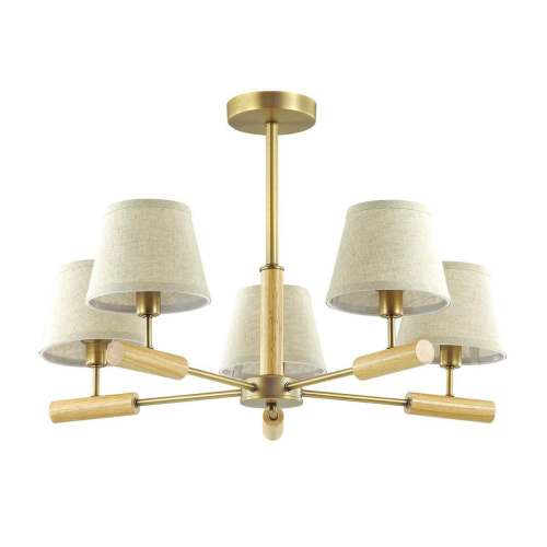 Потолочная люстра Lumion Robin 3703/5C Потолочная люстра Lumion Robin 3703/5C