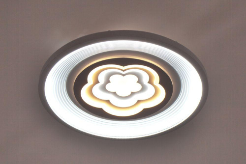 Потолочный светодиодный светильник Escada 10229/S LED