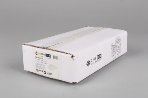 Настенный светодиодный светильник Omnilux Nettuno OML-12011-04 Настенный светодиодный светильник Omnilux Nettuno OML-12011-04