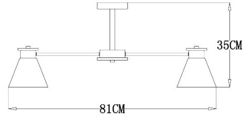 Потолочная люстра Arte Lamp Tyler A1031PL-8WH Потолочная люстра Arte Lamp Tyler A1031PL-8WH