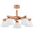 Потолочная люстра Alfa Robin 27395