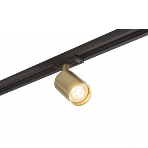 Трековый светильник Denkirs DK6201-BS Трековый светильник Denkirs DK6201-BS