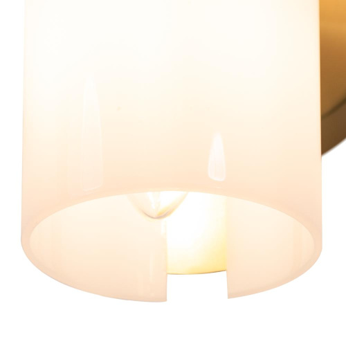 Настенный светильник (бра) Freya FR5368WL-02BS Настенный светильник (бра) Freya FR5368WL-02BS