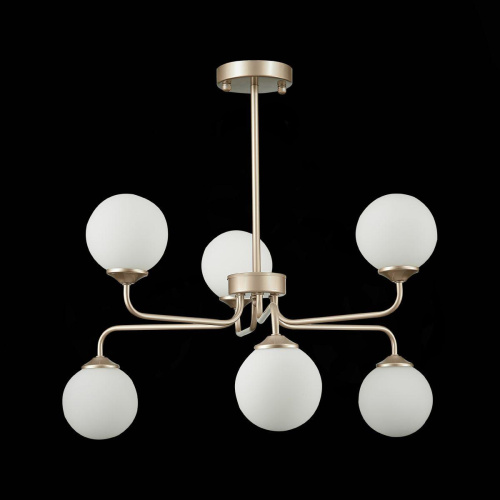 Подвесная люстра ST Luce Redjino SLE106203-06 Подвесная люстра ST Luce Redjino SLE106203-06