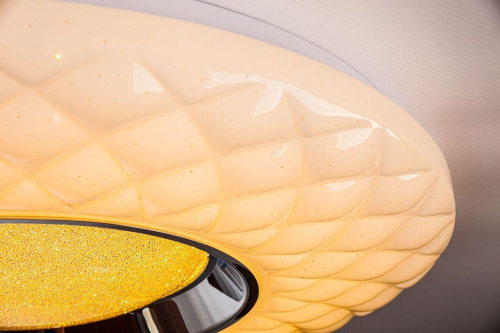 Потолочный светодиодный светильник Escada 10219/S LED Потолочный светодиодный светильник Escada 10219/S LED