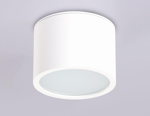 Потолочный светильник Ambrella light Techno Spot IP Protect TN6550 Потолочный светильник Ambrella light Techno Spot IP Protect TN6550