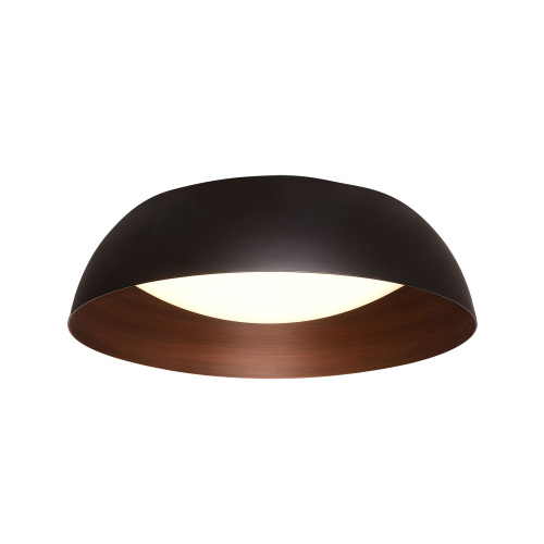Потолочный светильник C019-400B Black and Copper Потолочный светильник C019-400B Black and Copper