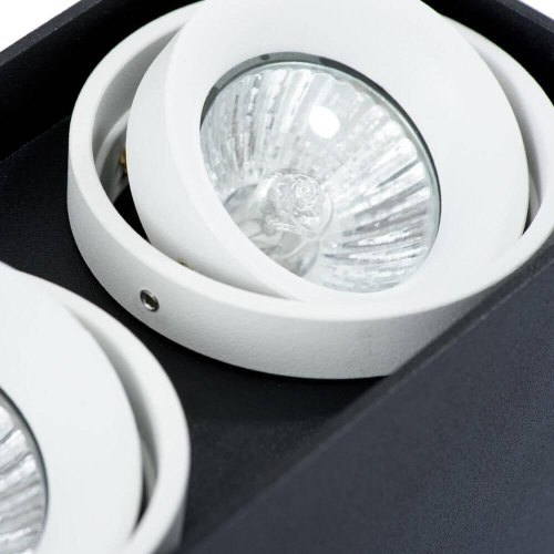 Потолочный светильник Arte Lamp A5655PL-2BK Потолочный светильник Arte Lamp A5655PL-2BK