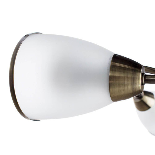 Потолочная люстра Arte Lamp 3 A6056PL-3AB Потолочная люстра Arte Lamp 3 A6056PL-3AB