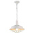 Подвесной светильник Arte Lamp 74 A9183SP-1WG