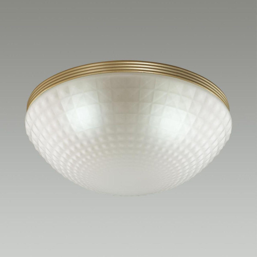 Потолочный светильник Odeon Light Modern Malaga 4936/3C Потолочный светильник Odeon Light Modern Malaga 4936/3C