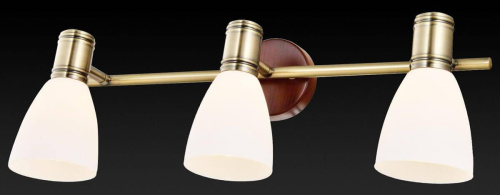 Спот Toplight Sharyl TL3720Y-03BB Спот Toplight Sharyl TL3720Y-03BB