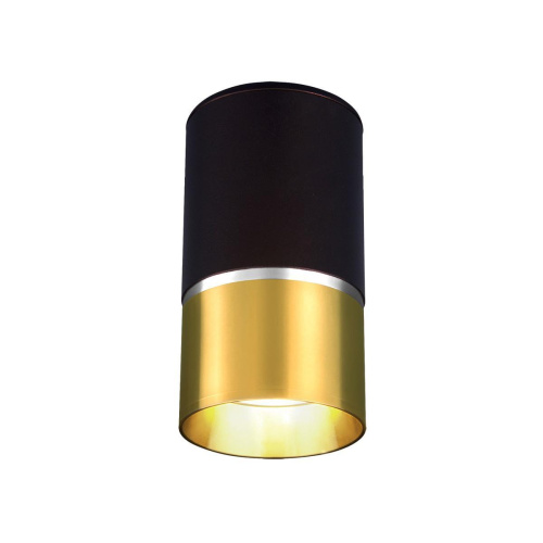 Потолочный светильник Elektrostandard DLN106 GU10 золото a047729 Потолочный светильник Elektrostandard DLN106 GU10 золото a047729