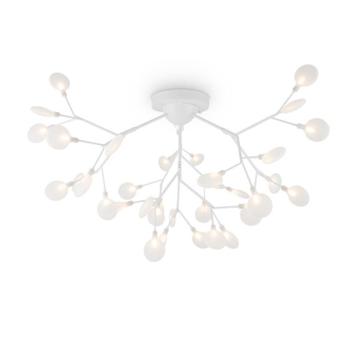 Потолочная люстра Freya Florencia FR5049CL-36W1 Потолочная люстра Freya Florencia FR5049CL-36W1