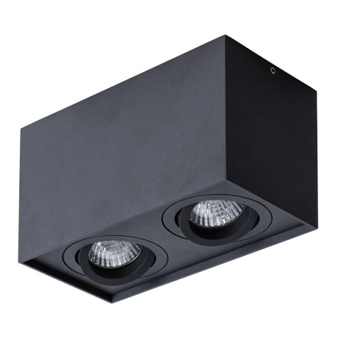Потолочный светильник Arte Lamp Factor A5544PL-2BK Потолочный светильник Arte Lamp Factor A5544PL-2BK