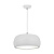 Подвесной светодиодный светильник Zumaline Oval P14071-D35