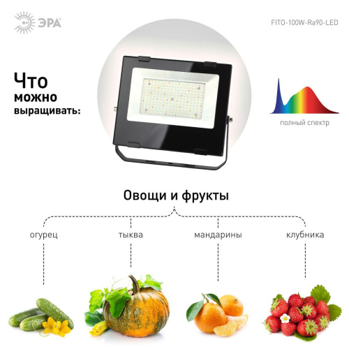 Прожектор светодиодный для растений ЭРА 100W 4000K Fito-100W-Ra90-Led Б0047876 Прожектор светодиодный для растений ЭРА 100W 4000K Fito-100W-Ra90-Led Б0047876