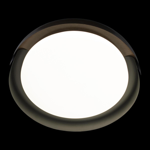 Потолочный светодиодный светильник Loft IT Coin 10198 Black Потолочный светодиодный светильник Loft IT Coin 10198 Black