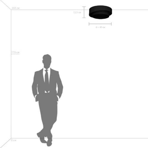 Потолочный светодиодный светильник Lightstar Celesta 809416 Потолочный светодиодный светильник Lightstar Celesta 809416