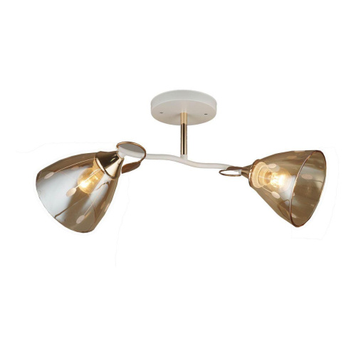 Потолочная люстра Milosh Tendence 0723CL-2WH Потолочная люстра Milosh Tendence 0723CL-2WH