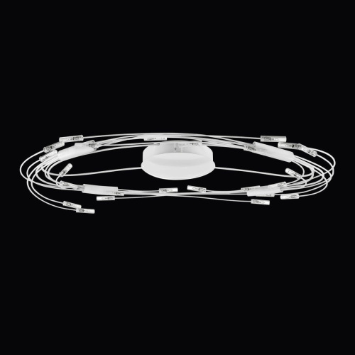 Потолочный светильник Lightstar Ovale 784246 Потолочный светильник Lightstar Ovale 784246