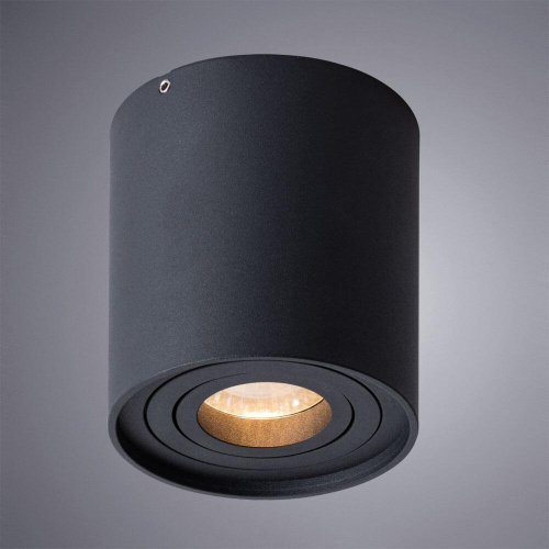Потолочный светильник Arte Lamp Galopin A1460PL-1BK Потолочный светильник Arte Lamp Galopin A1460PL-1BK
