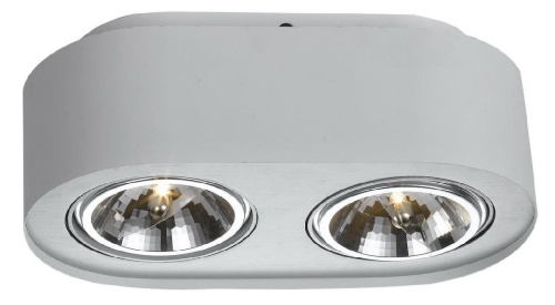 Потолочный светильник Arte Lamp Cliff A5643PL-2WH Потолочный светильник Arte Lamp Cliff A5643PL-2WH