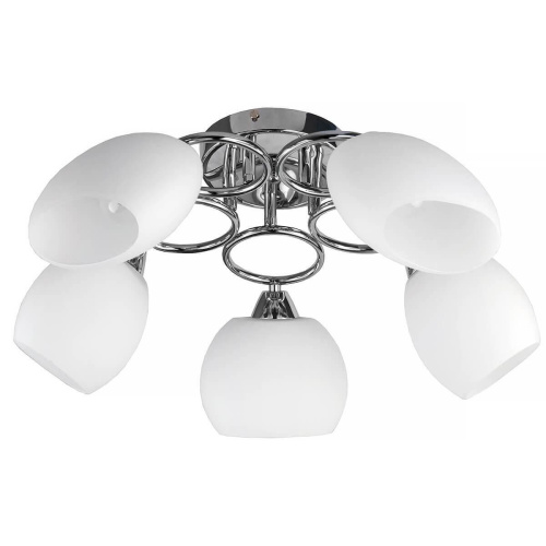 Потолочная люстра Toplight Madalyn TL2650X-05CH Потолочная люстра Toplight Madalyn TL2650X-05CH