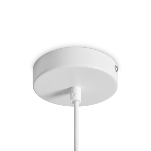 Подвесной светильник Freya FR5530PL-L10W Подвесной светильник Freya FR5530PL-L10W