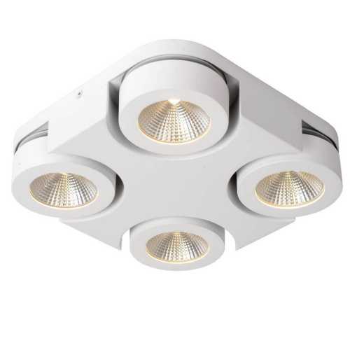 Светодиодный спот Lucide Mitrax Led 33158/19/31 Светодиодный спот Lucide Mitrax Led 33158/19/31