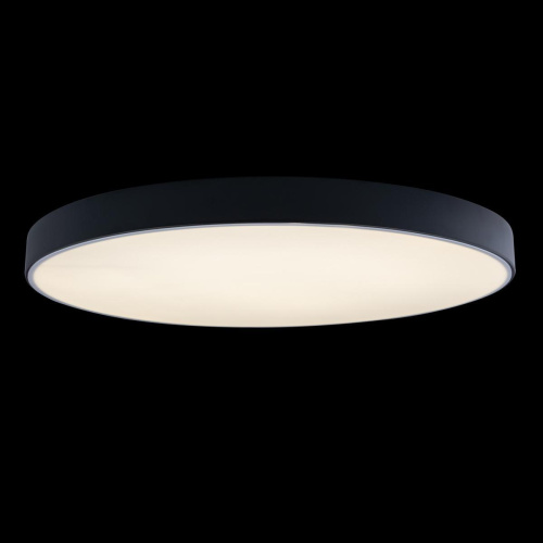 Потолочный светодиодный светильник Loft IT Axel 10002/48 black Потолочный светодиодный светильник Loft IT Axel 10002/48 black