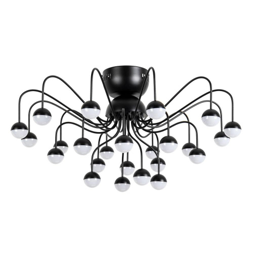 Потолочная светодиодная люстра Arte Lamp Dexter A3619PL-24BK