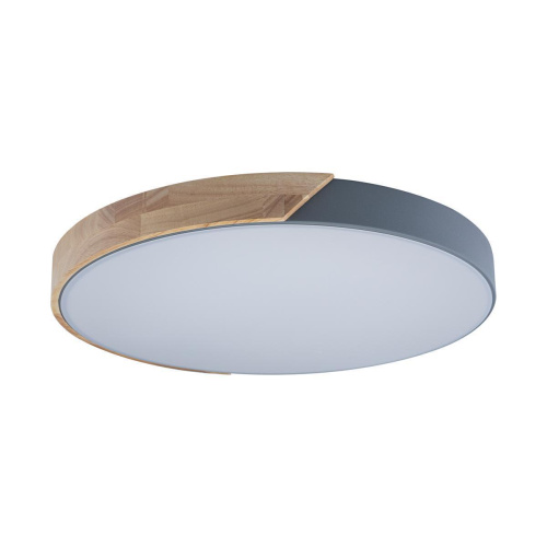Потолочный светодиодный светильник Loft IT Axel 10004/36 grey Потолочный светодиодный светильник Loft IT Axel 10004/36 grey