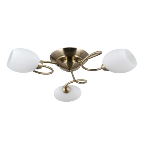 Потолочная люстра MW-Light Фиеста 9 267014403 Потолочная люстра MW-Light Фиеста 9 267014403